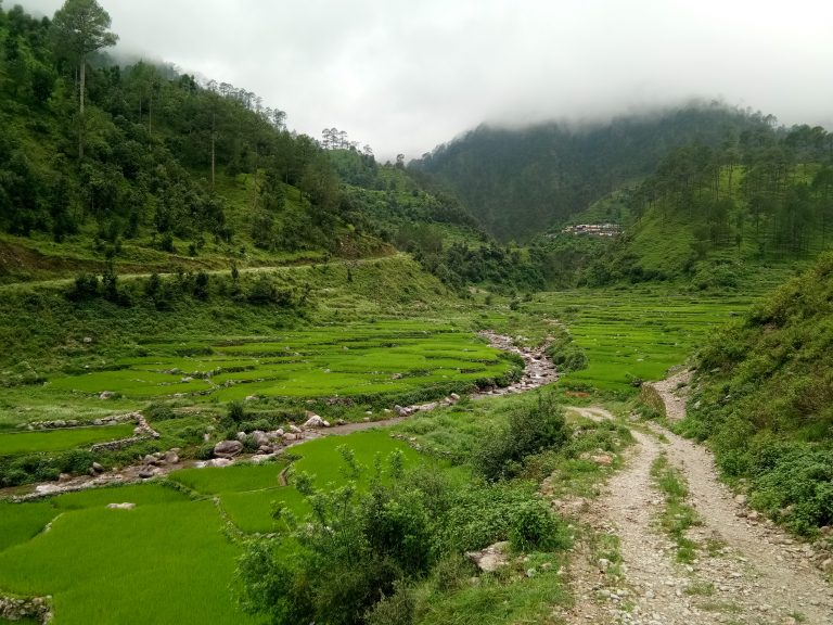 Uttarakhand Weather and The Best Time To Visit Kanatal, Uttarakhand